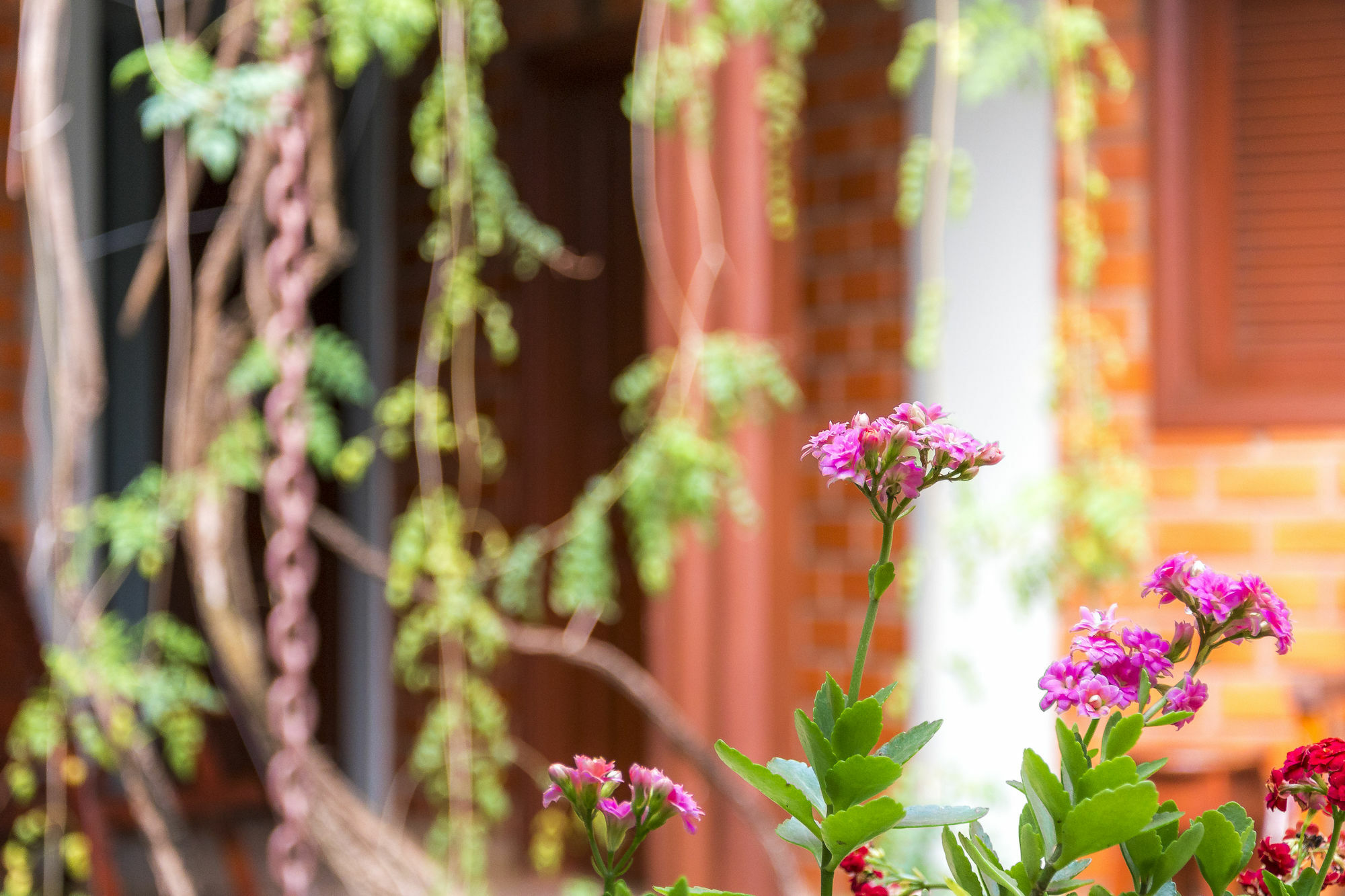 Pousada Rancho Jarinu Bonito  Ngoại thất bức ảnh